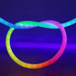 Flexible Neon RGB Color Waterproof LED Strip Light