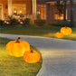 Solar Powered Halloween Pumpkin Garden Lights